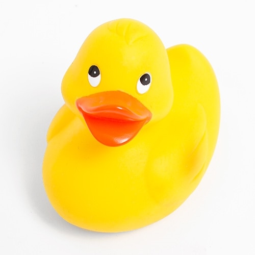 Sunny Rubber Duck $3.99